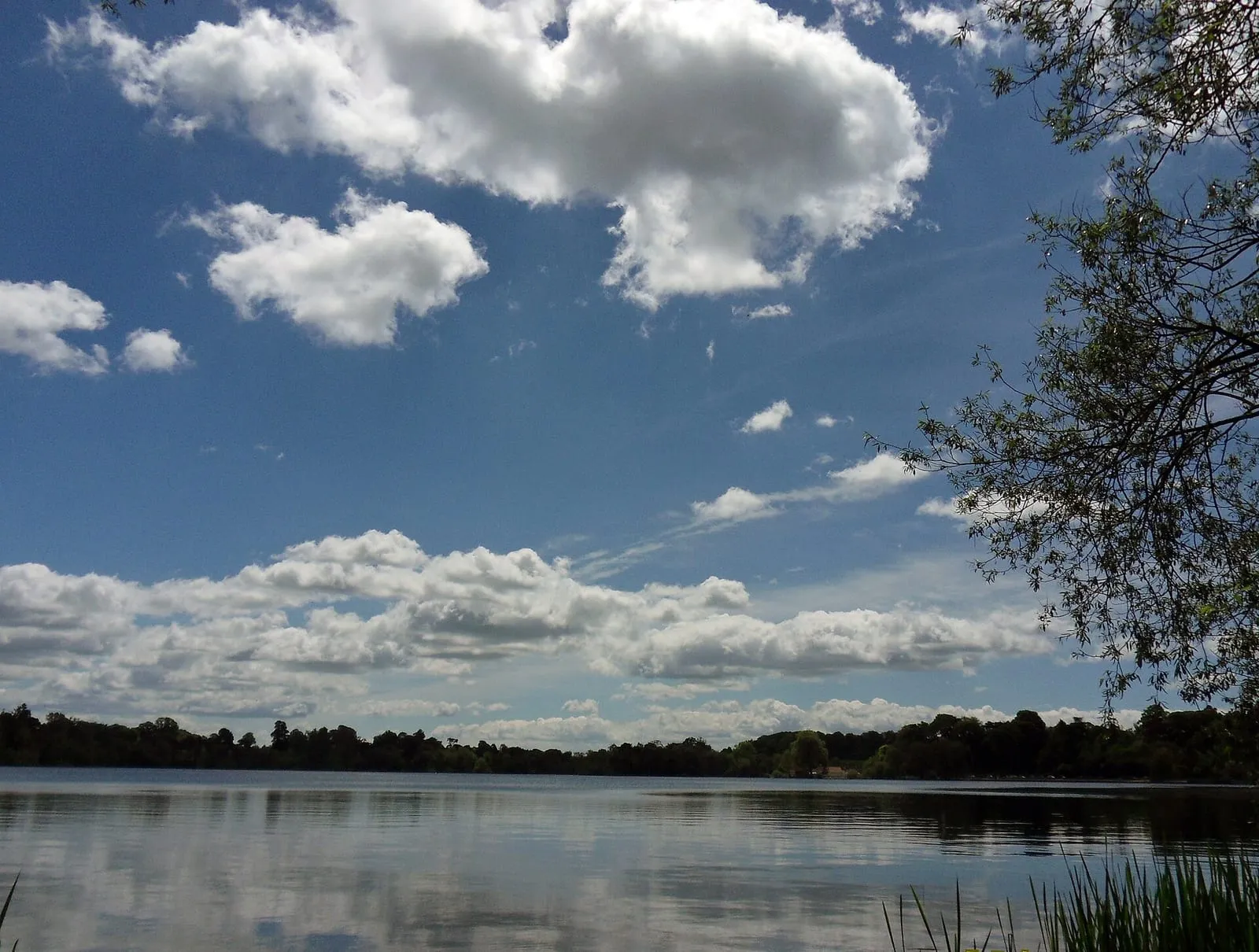 The Mere
